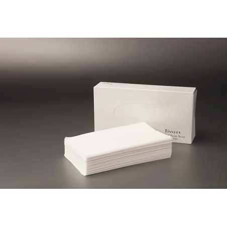 Caja pañuelos faciales tisú 75 uds/estuche. Comprar papel, pañuelos en VenusCatalogo.com