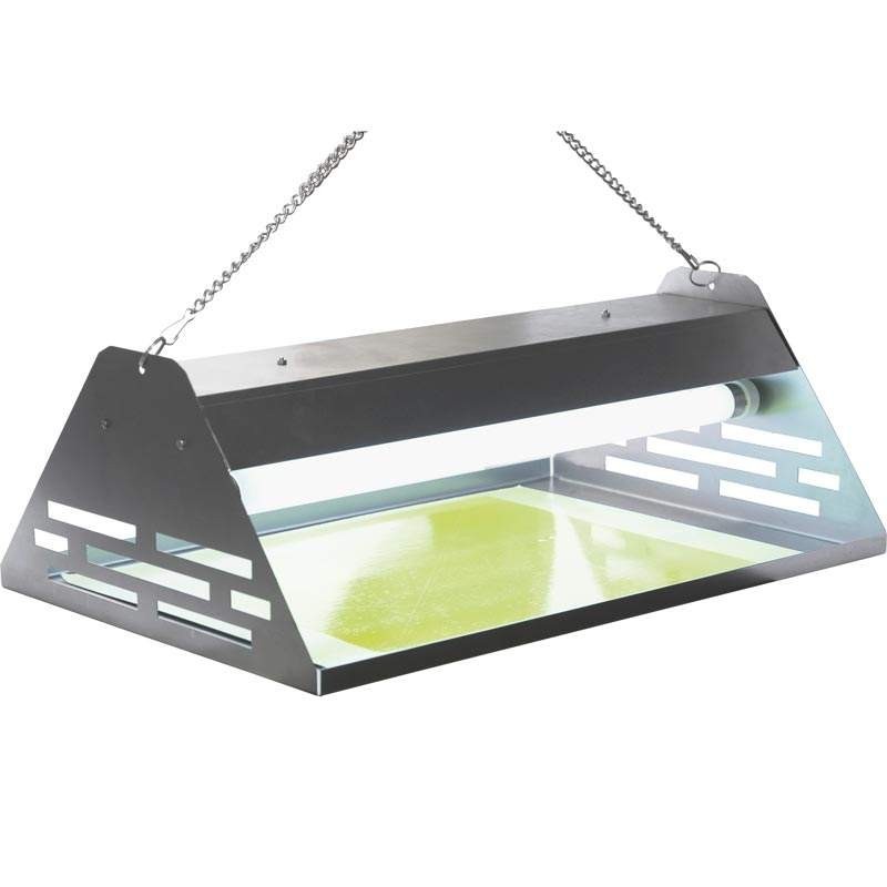 Matainsectos Lámina Adhesiva Colgante o Mural 30w. Compra accesorios de baño para colectividades en VenusCatalogo.com Matainsectos Lámina Adhesiva Colgante o Mural 30w. Compra accesorios de baño para colectividades en VenusCatalogo.com